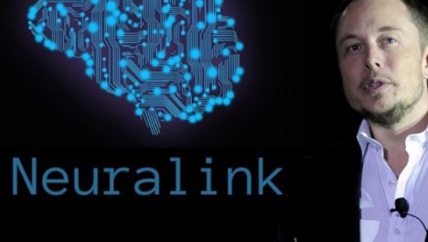 Компания Neuralink впервые имплантировала чип в мозг обезьяны